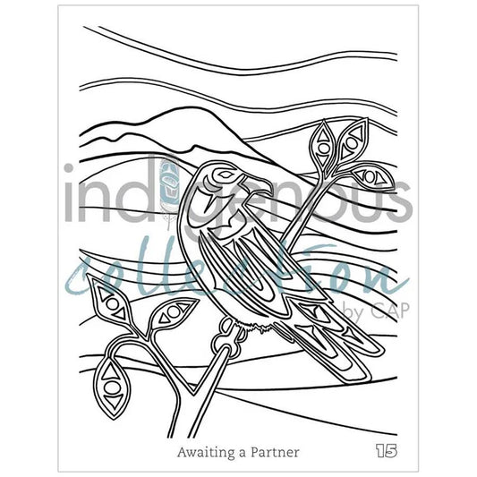 Shelley Davies Colouring Book
